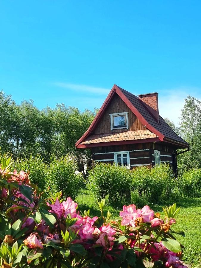 Domki Osada Werdolyna Polańczyk المظهر الخارجي الصورة